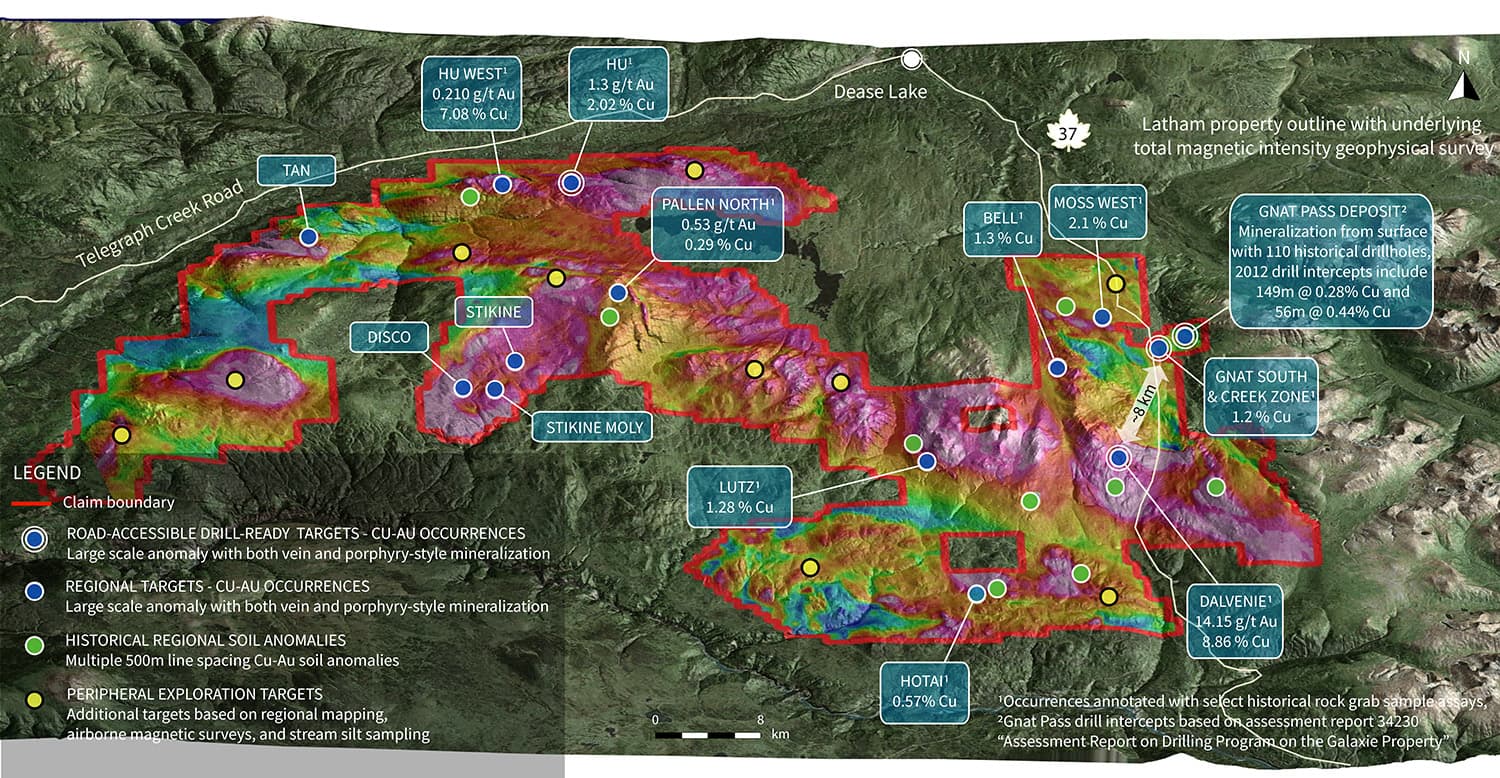 The Gnat Pass copper-gold porphyry deposit